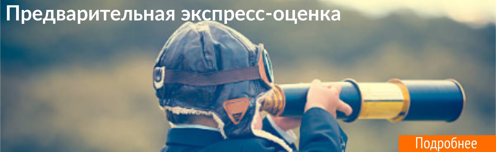 Предварительная экспресс-оценка